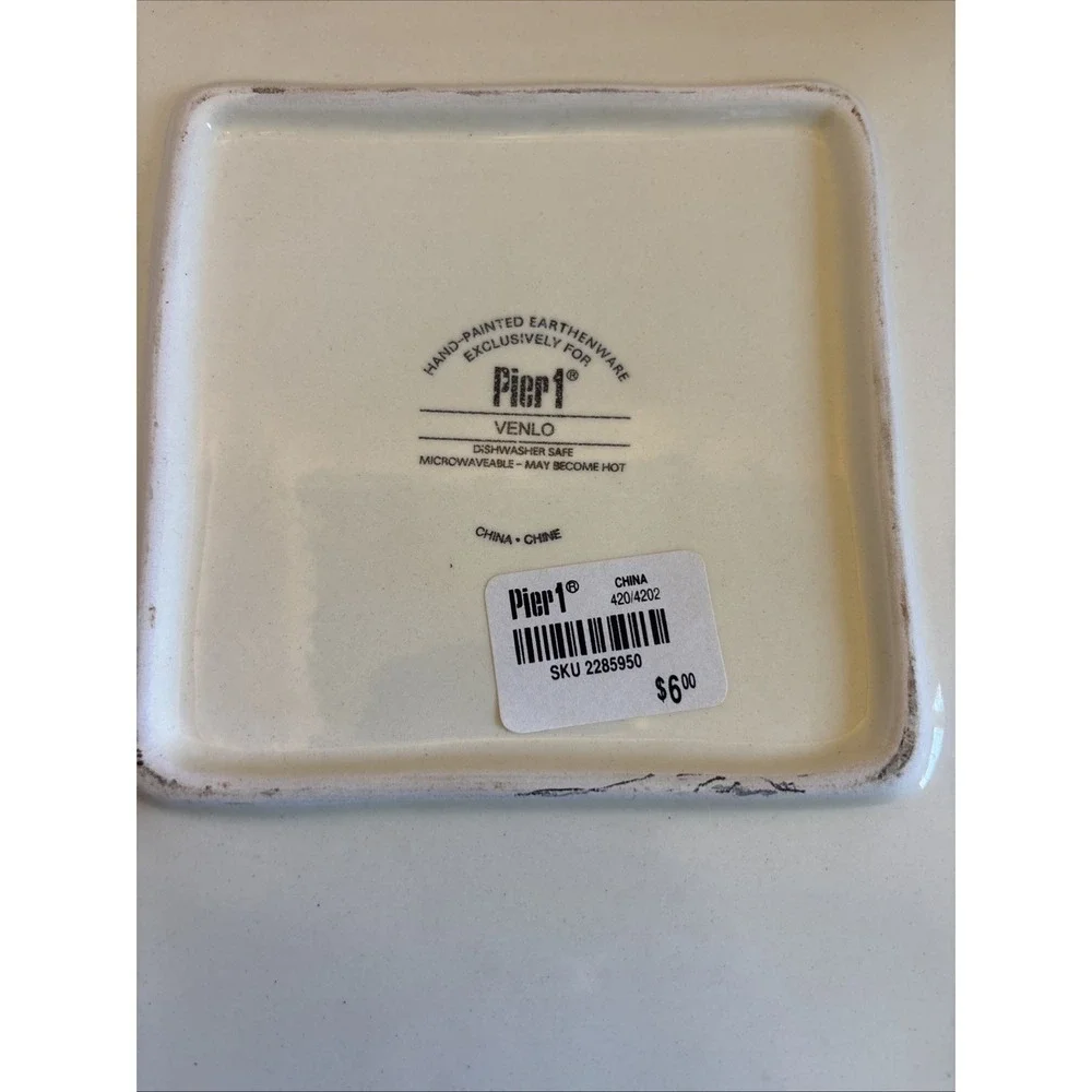 Pier 1 VENLO Hand Painted Earthenware Abstract Square Salad Lunch Plate 8.75